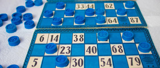 Câte tipuri de bingo online sunt în cazinourile online