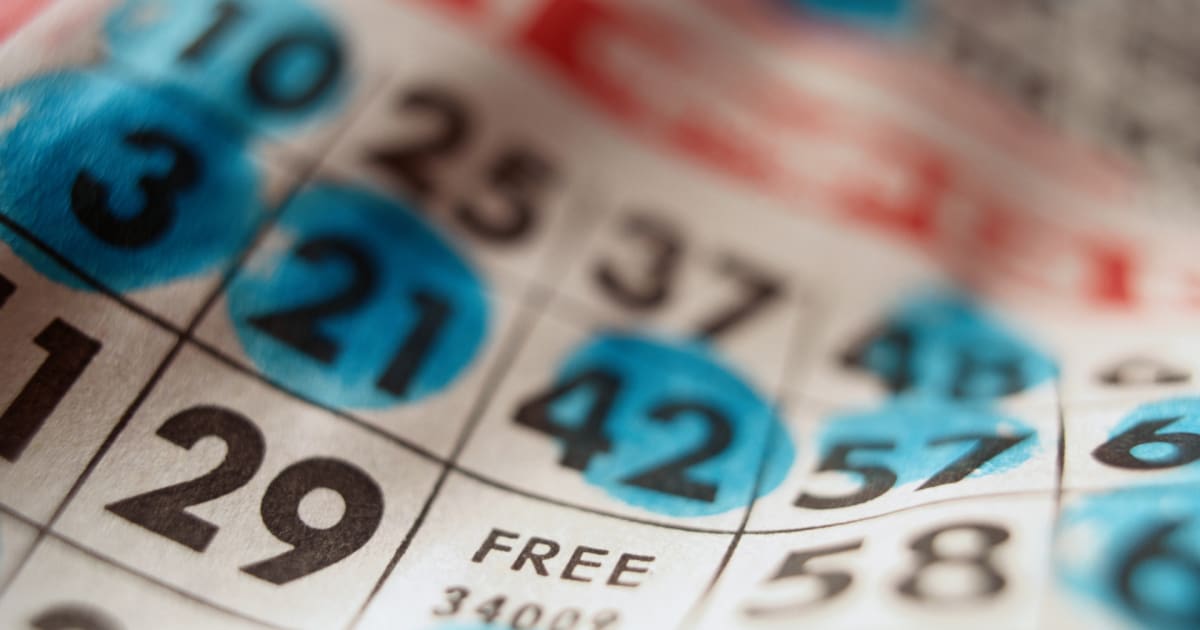 Totul despre cardurile și apelurile de bingo online